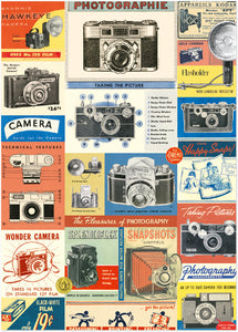 Cavallini Poster - Vintage Cameras